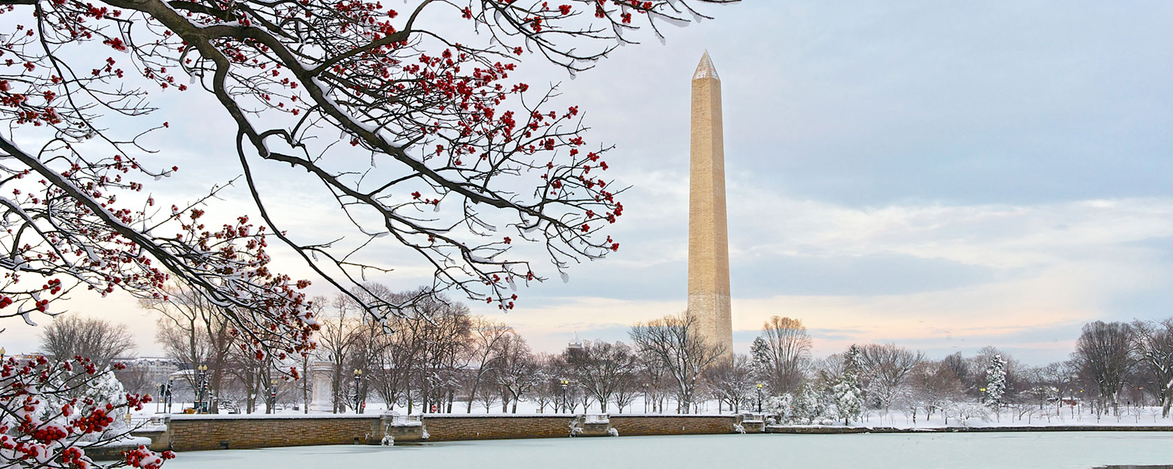 Monumento a Washington da Tidal Basin no inverno