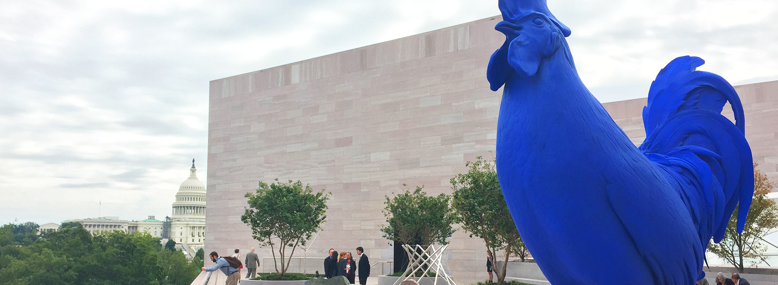 Events & Festivals in Washington, DC