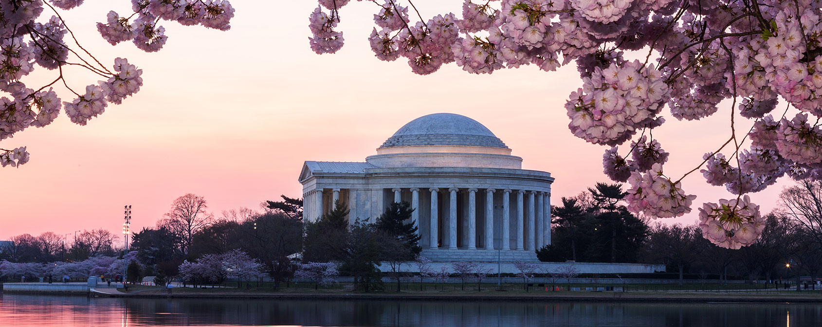Flores de cerejeira no Jefferson Memorial