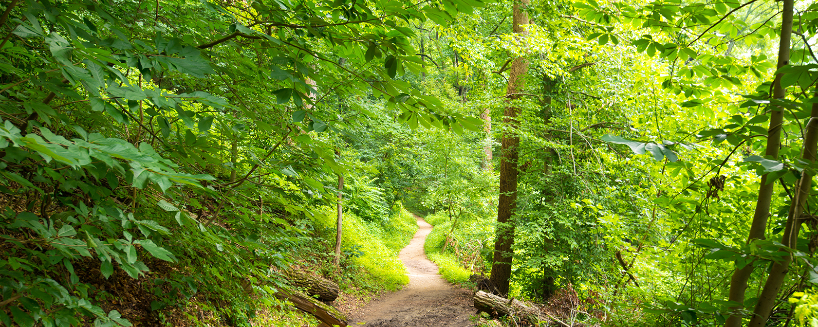 Rock Creek Park