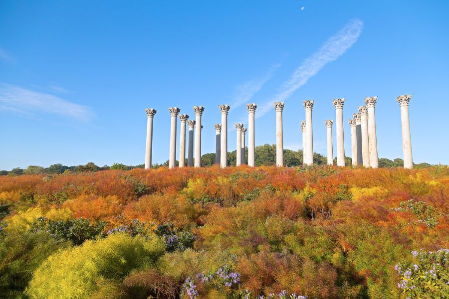 U.S. National Arboretum Fall