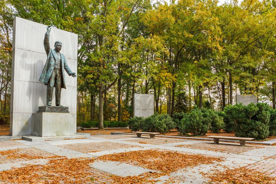 Theodore Roosevelt Island Fall