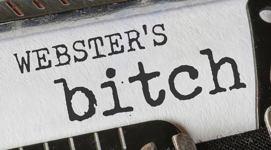 Webster’s Bitch graphic 
