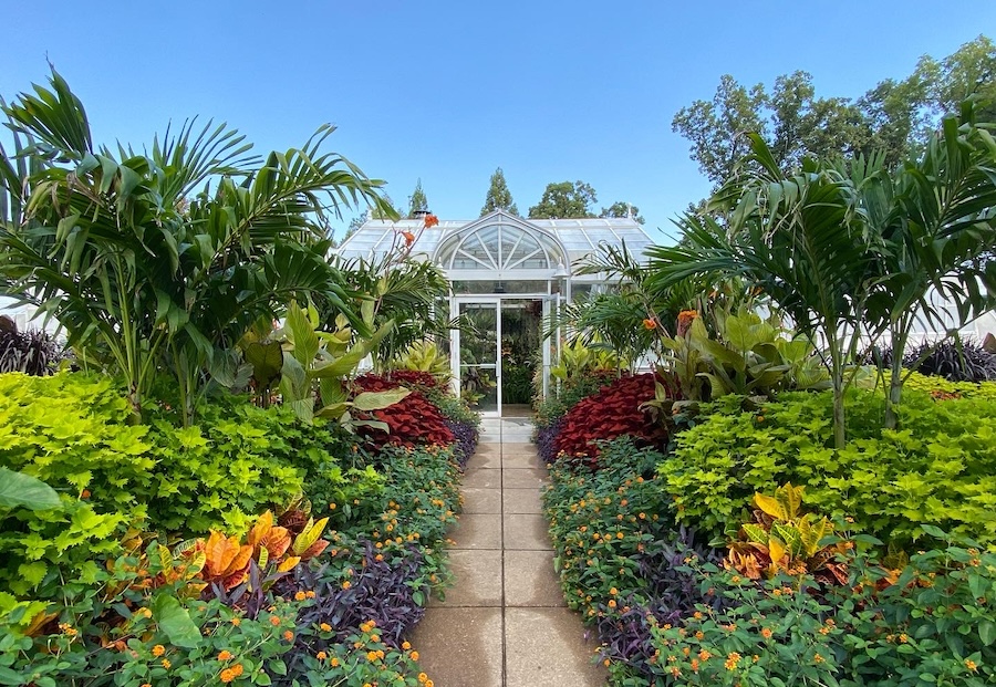 Hillwood Estate, Museum and Gardens greenery