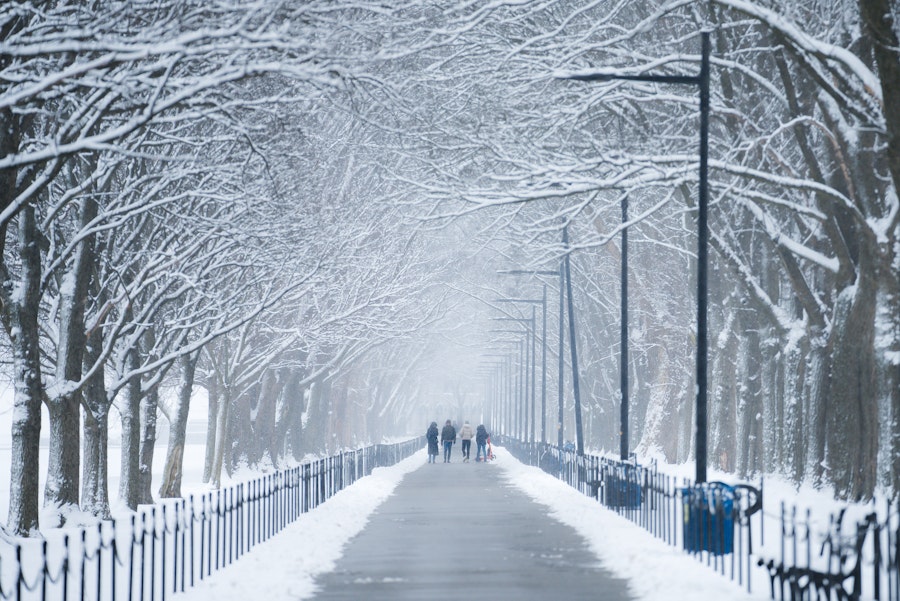 A serene pathway lined with snow-covered trees leading toward the Lincoln Memorial in Washington, DC.