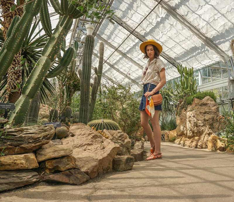 @a.renaissance.woman - World Deserts Room at the United States Botanic Garden - Free things to do in Washington, DC