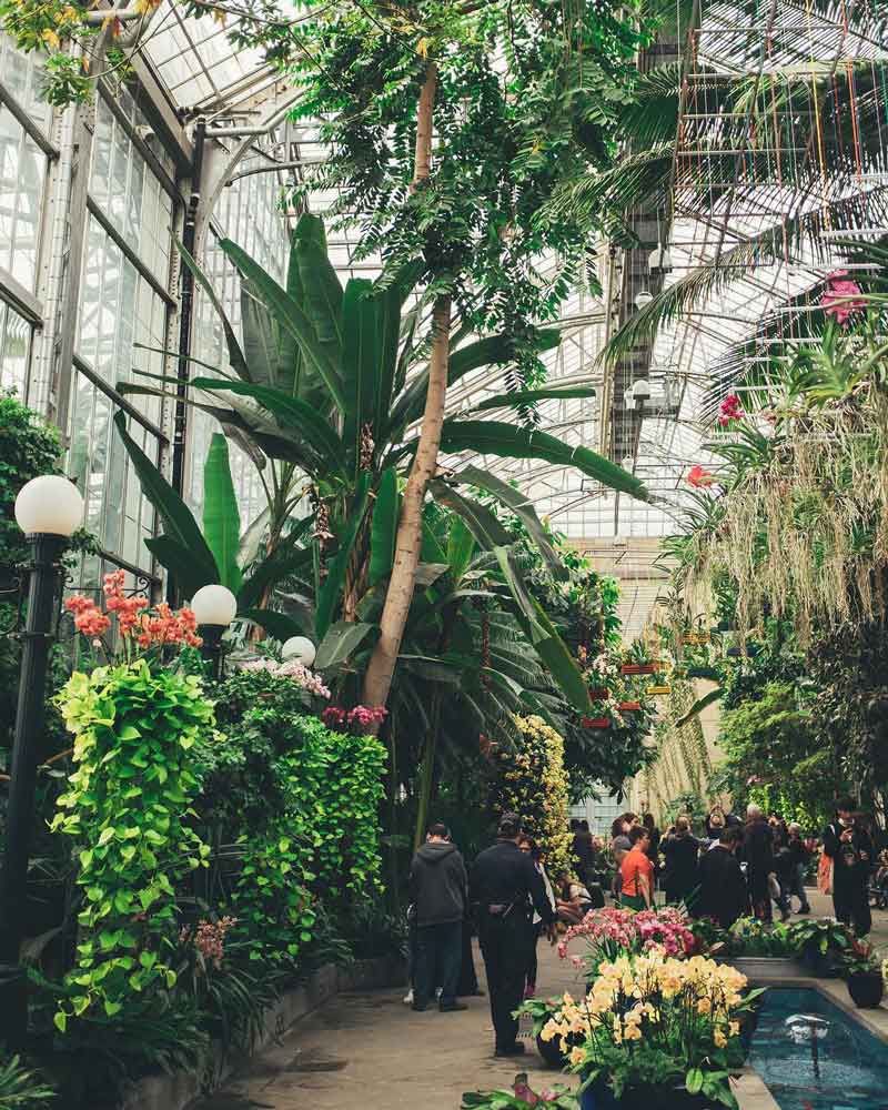 @chivophotos - United States Botanic Garden on the National Mall - Free museum and attraction in Washington, DC