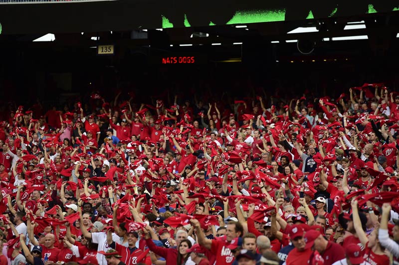 Washington Nationals crowd at home game - Baseball in Washington, DC