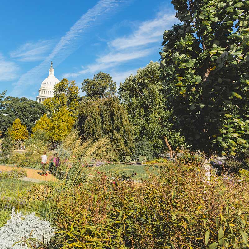 Outdoor garden at United States Botanic Garden - Free living museum in Washington, DC