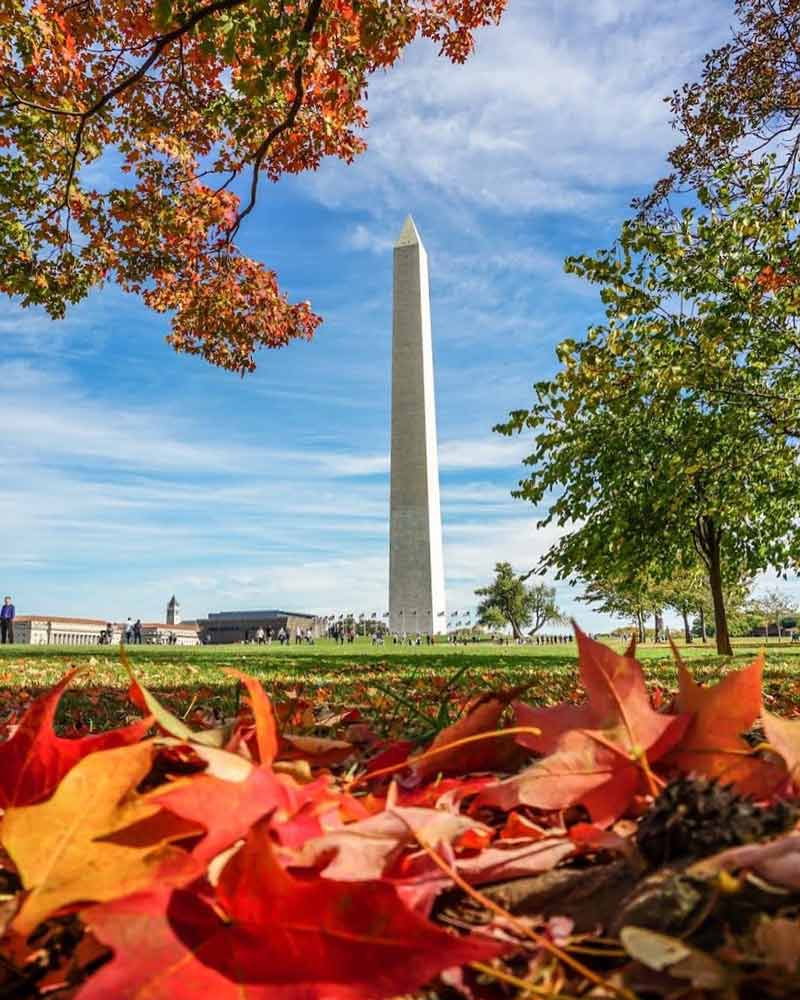 @patrickvburton - Fall foliage on the Washington Monument grounds - Things to do this fall in Washington, DC
