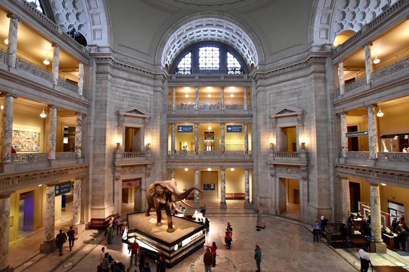 @michellefortephotography - Atrium at Smithsonian National Museum of Natural History on the National Mall - Free Museum in Washington, DC