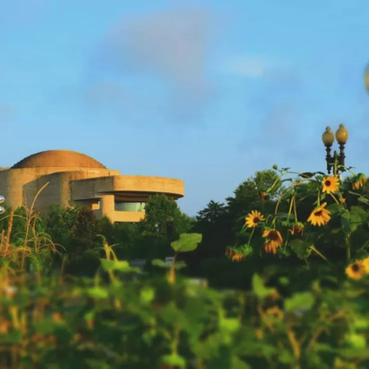 @fiddlybitsdc - Summer sunrise at the Smithsonian National Museum of the American Indian - Free museum on the National Mall in Washington, DC