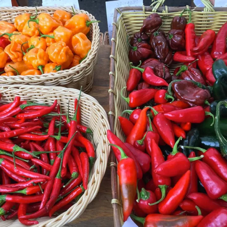 @lechefswife - Fresh Produce at Dupont Circle Farmers&#039; Market - Farmers&#039; Markets in Washington, DC