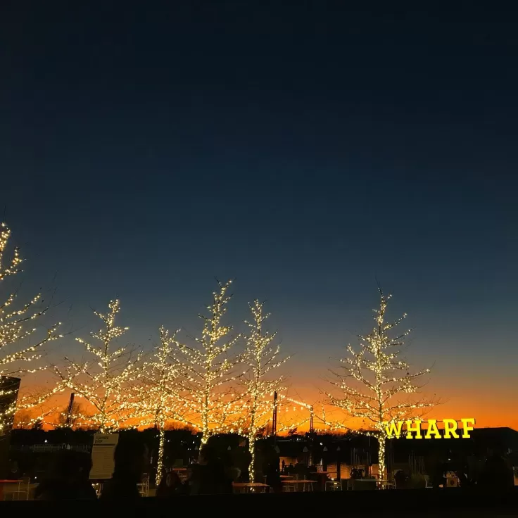 DC wharf at winter