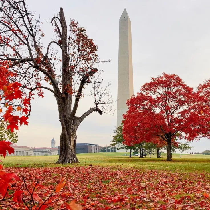 National Monument