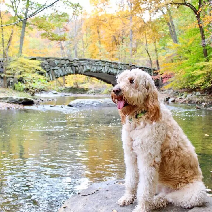 Rock Creek Park