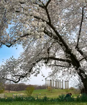 National Arboretum