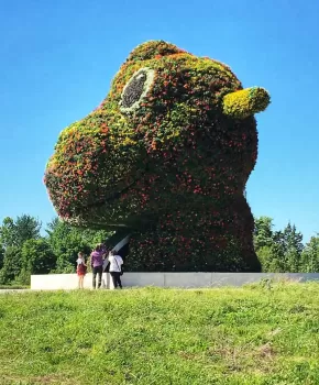 @laflaneure - Outdoor art installation at Glenstone Museum in Maryland - Free art museum near Washington, DC