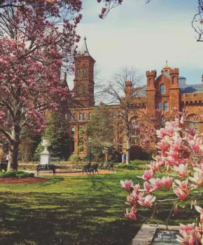 @pinkie925 - Spring flowers in front of the Smithsonian Castle on the National Mall in Washington, DC