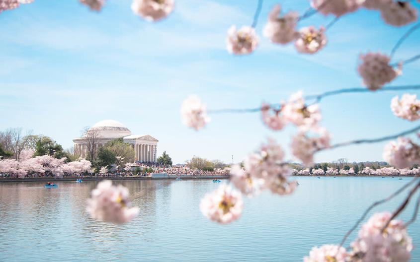 washington dc