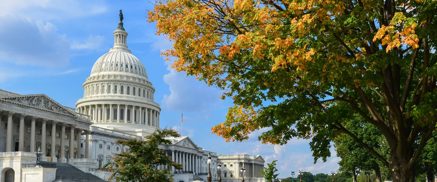 US Capitol Side View