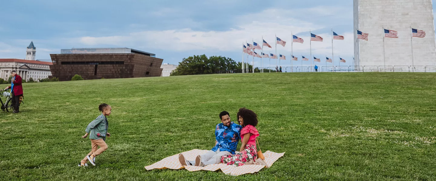 Family having a picnic on National Mall