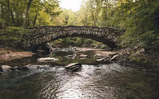 Rock Creek Park bridge
