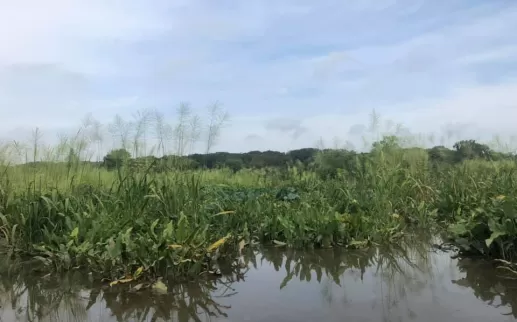 Anacostia Watershed Society
