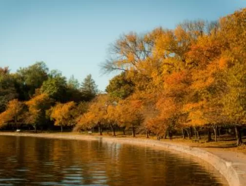 Tidal Basin Fall