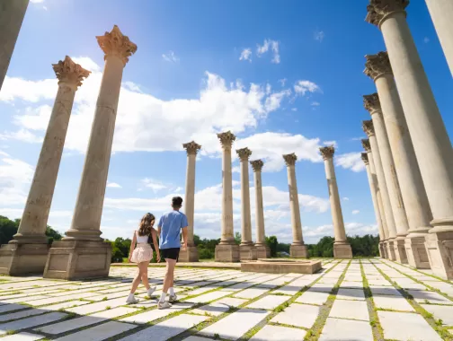 United States National Arboretum