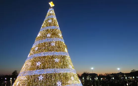 NATIONAL CHRISTMAS TREE CENTENNIAL