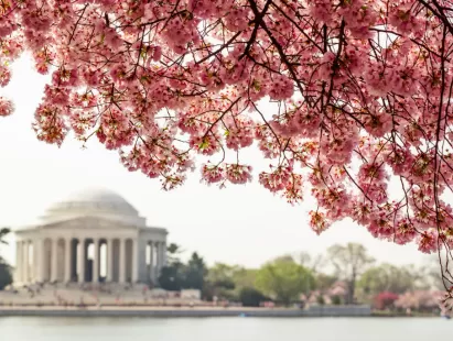 washington dc