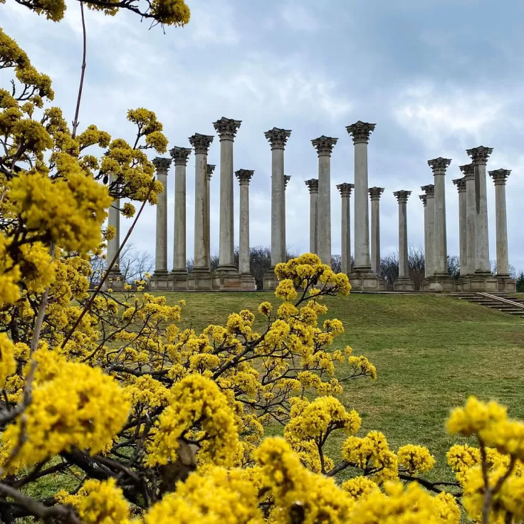 The National Arboretum